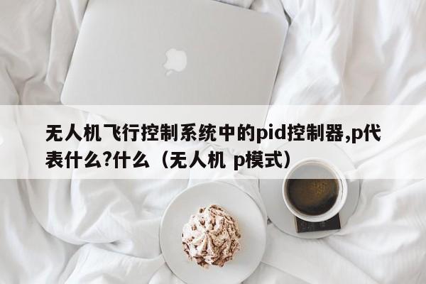 无人机飞行控制系统中的pid控制器,p代表什么?什么（无人机 p模式）