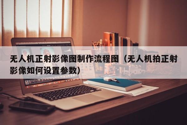 无人机正射影像图制作流程图（无人机拍正射影像如何设置参数）