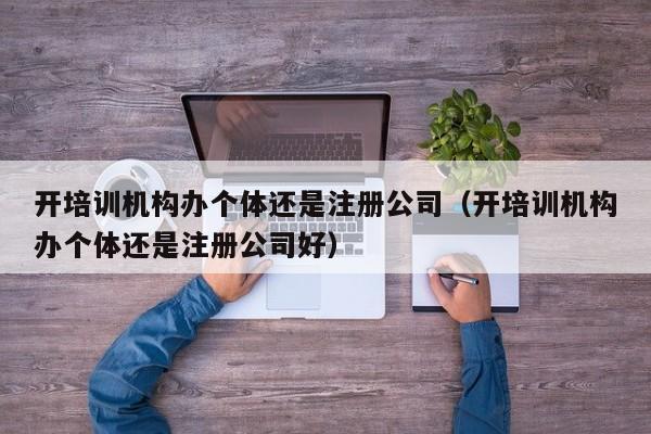 开培训机构办个体还是注册公司（开培训机构办个体还是注册公司好）