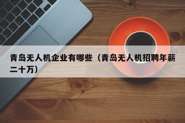 青岛无人机企业有哪些（青岛无人机招聘年薪二十万）