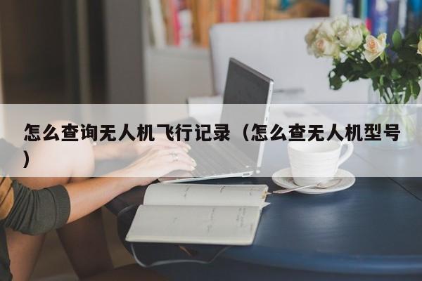 怎么查询无人机飞行记录（怎么查无人机型号）
