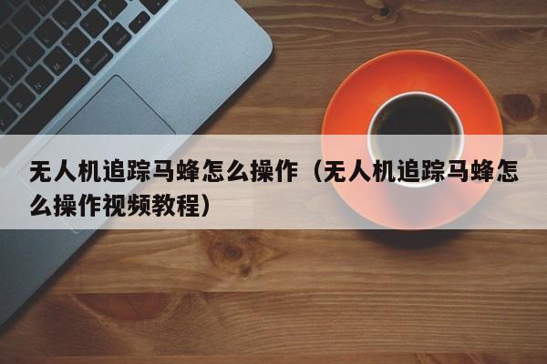 无人机追踪马蜂怎么操作（无人机追踪马蜂怎么操作视频教程）