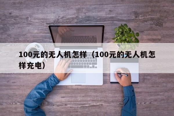 100元的无人机怎样（100元的无人机怎样充电）