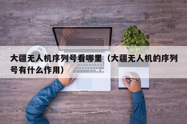 大疆无人机序列号看哪里（大疆无人机的序列号有什么作用）