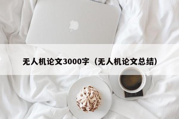 无人机论文3000字（无人机论文总结）