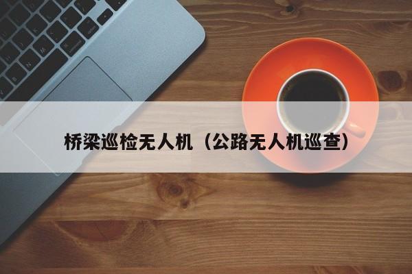 桥梁巡检无人机（公路无人机巡查）