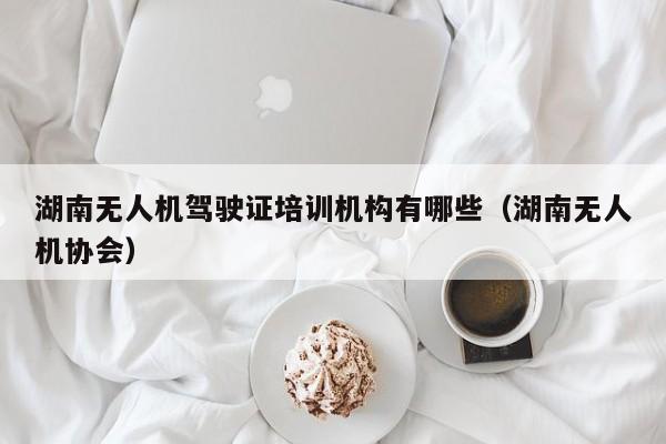 湖南无人机驾驶证培训机构有哪些（湖南无人机协会）