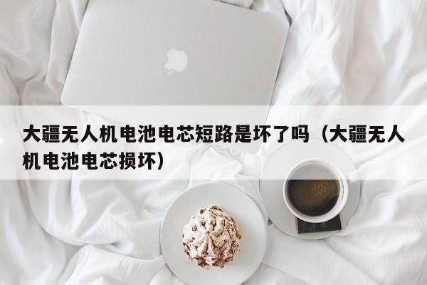 大疆无人机电池电芯短路是坏了吗（大疆无人机电池电芯损坏）