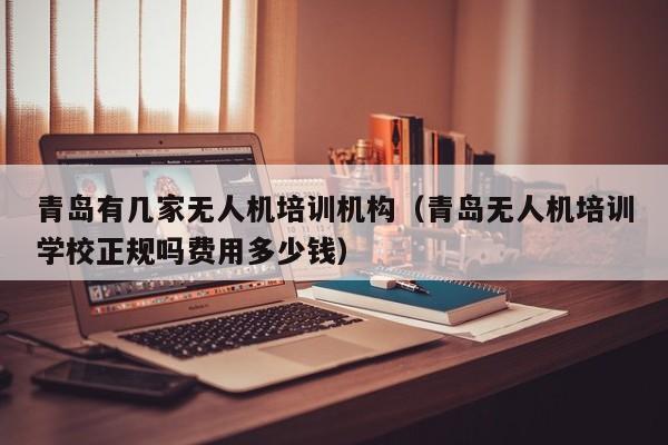 青岛有几家无人机培训机构（青岛无人机培训学校正规吗费用多少钱）