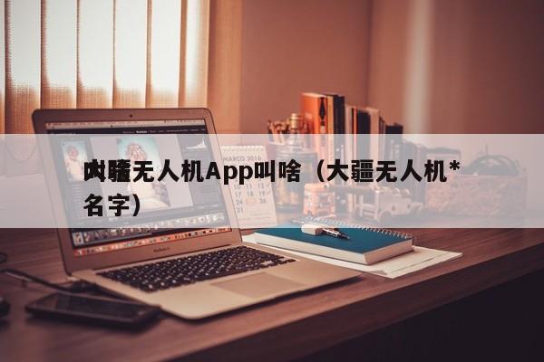 大疆无人机App叫啥（大疆无人机*
叫啥名字）