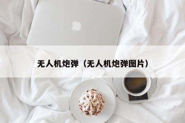 无人机炮弹（无人机炮弹图片）