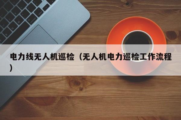 电力线无人机巡检（无人机电力巡检工作流程）