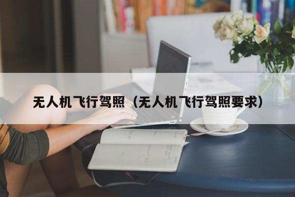 无人机飞行驾照（无人机飞行驾照要求）