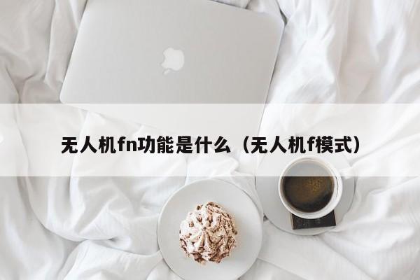无人机fn功能是什么（无人机f模式）