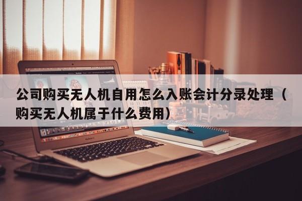 公司购买无人机自用怎么入账会计分录处理（购买无人机属于什么费用）