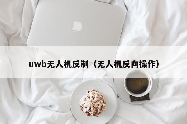 uwb无人机反制（无人机反向操作）