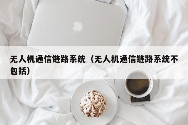 无人机通信链路系统（无人机通信链路系统不包括）