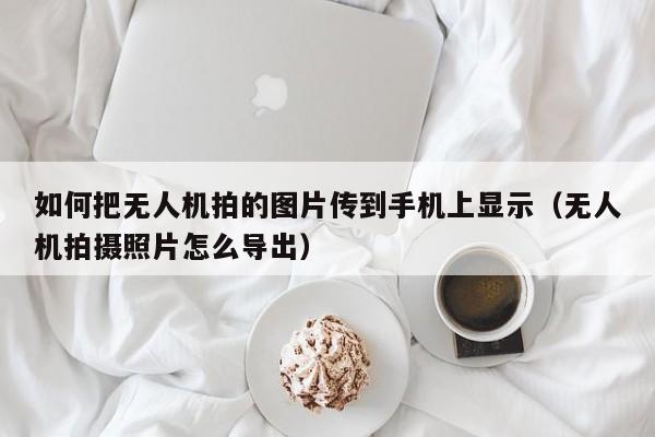 如何把无人机拍的图片传到手机上显示（无人机拍摄照片怎么导出）