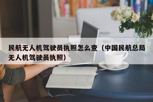 民航无人机驾驶员执照怎么查（中国民航总局无人机驾驶员执照）