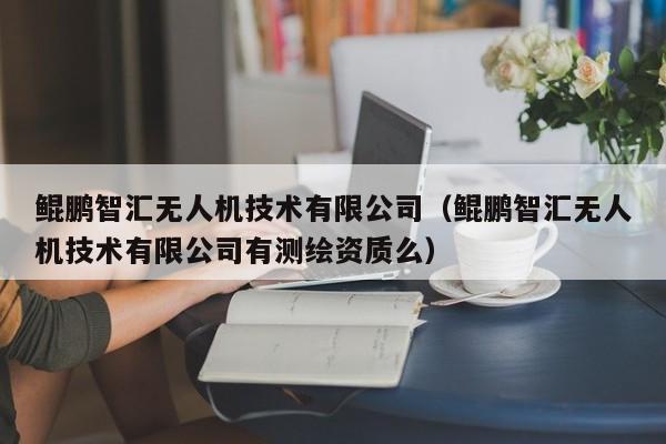 鲲鹏智汇无人机技术有限公司（鲲鹏智汇无人机技术有限公司有测绘资质么）