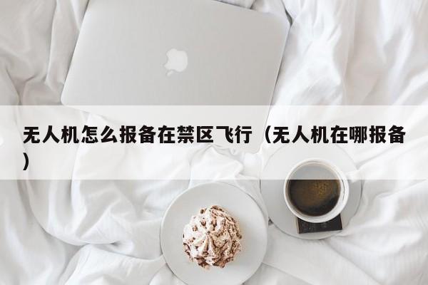 无人机怎么报备在禁区飞行（无人机在哪报备）