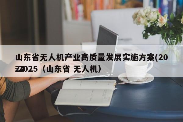 山东省无人机产业高质量发展实施方案(2024
-2025（山东省 无人机）