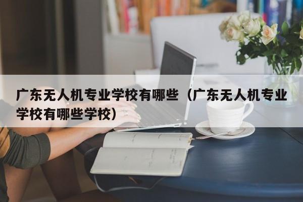 广东无人机专业学校有哪些（广东无人机专业学校有哪些学校）