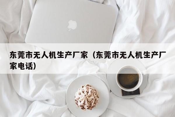 东莞市无人机生产厂家（东莞市无人机生产厂家电话）