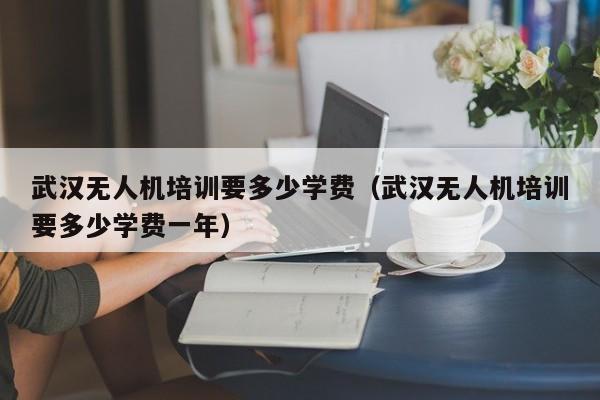 武汉无人机培训要多少学费（武汉无人机培训要多少学费一年）