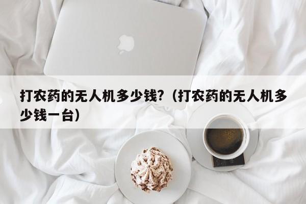 打农药的无人机多少钱?（打农药的无人机多少钱一台）