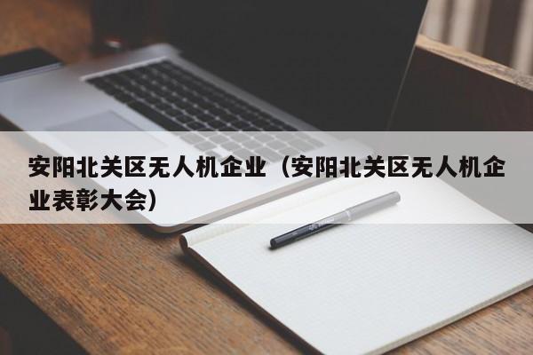 安阳北关区无人机企业（安阳北关区无人机企业表彰大会）