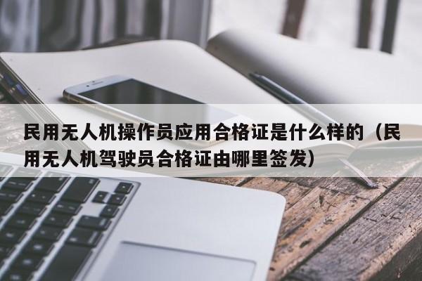 民用无人机操作员应用合格证是什么样的（民用无人机驾驶员合格证由哪里签发）