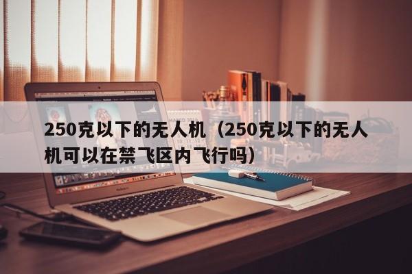 250克以下的无人机（250克以下的无人机可以在禁飞区内飞行吗）