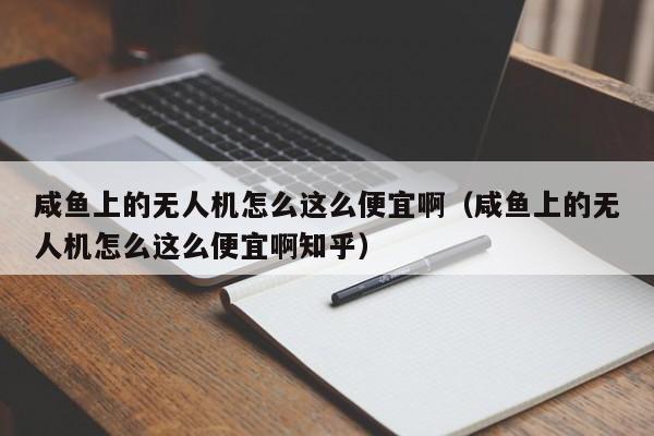 咸鱼上的无人机怎么这么便宜啊（咸鱼上的无人机怎么这么便宜啊知乎）