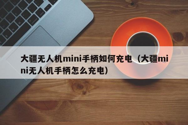 大疆无人机mini手柄如何充电（大疆mini无人机手柄怎么充电）