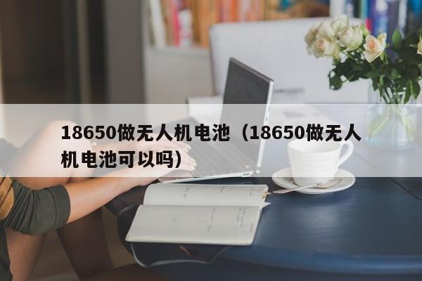 18650做无人机电池（18650做无人机电池可以吗）