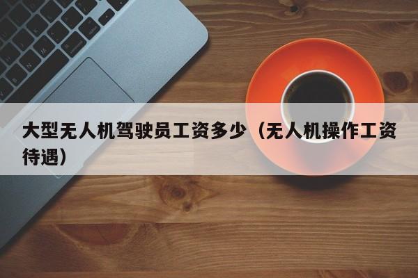 大型无人机驾驶员工资多少（无人机操作工资待遇）