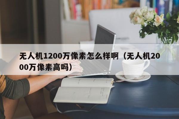 无人机1200万像素怎么样啊（无人机2000万像素高吗）