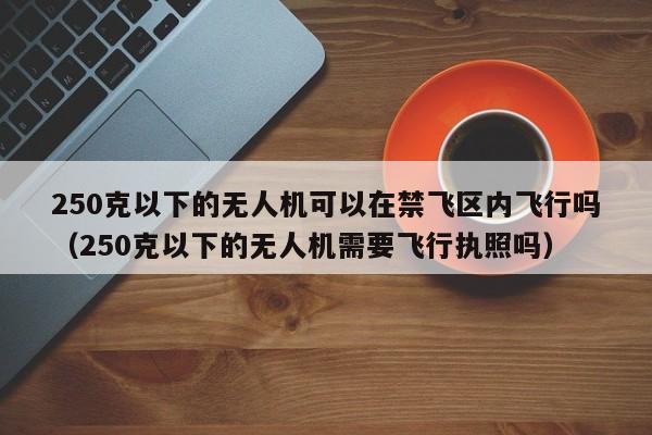 250克以下的无人机可以在禁飞区内飞行吗（250克以下的无人机需要飞行执照吗）