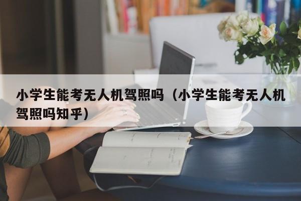 小学生能考无人机驾照吗（小学生能考无人机驾照吗知乎）