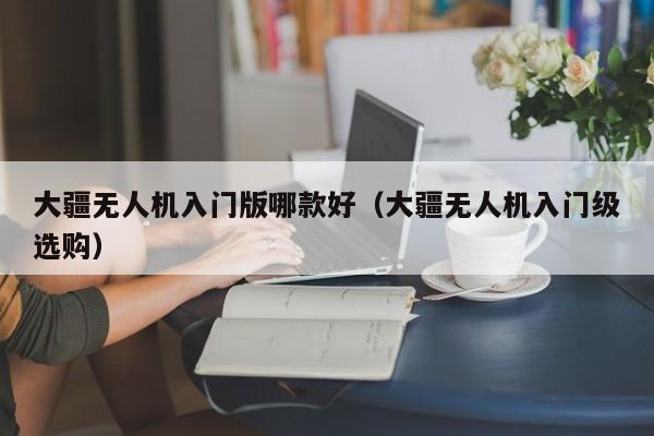 大疆无人机入门版哪款好（大疆无人机入门级选购）