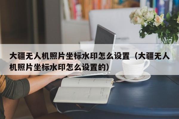 大疆无人机照片坐标水印怎么设置（大疆无人机照片坐标水印怎么设置的）