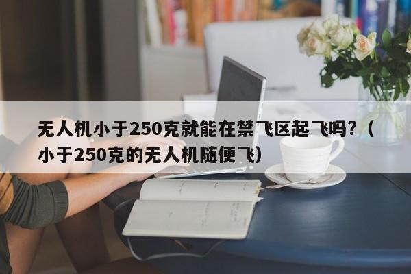 无人机小于250克就能在禁飞区起飞吗?（小于250克的无人机随便飞）