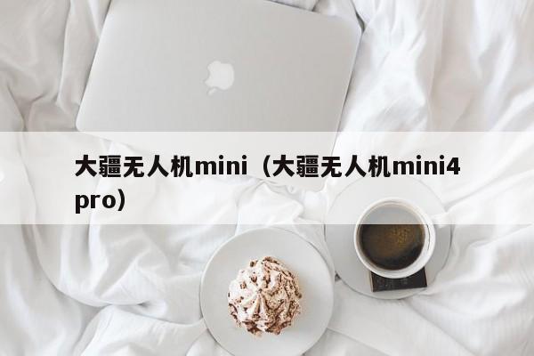 大疆无人机mini（大疆无人机mini4pro）