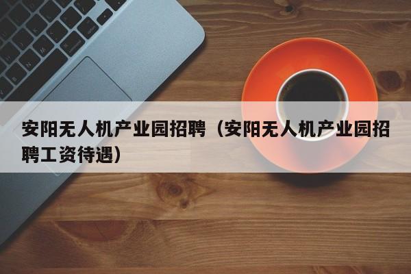 安阳无人机产业园招聘（安阳无人机产业园招聘工资待遇）