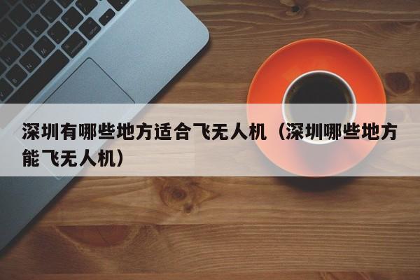 深圳有哪些地方适合飞无人机（深圳哪些地方能飞无人机）