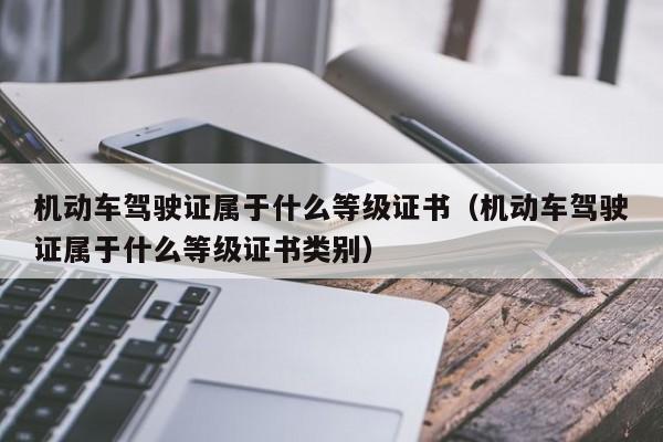 机动车驾驶证属于什么等级证书（机动车驾驶证属于什么等级证书类别）