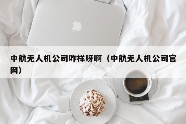 中航无人机公司咋样呀啊（中航无人机公司官网）