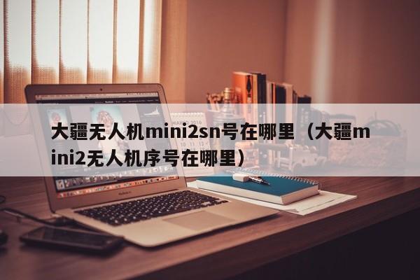 大疆无人机mini2sn号在哪里（大疆mini2无人机序号在哪里）