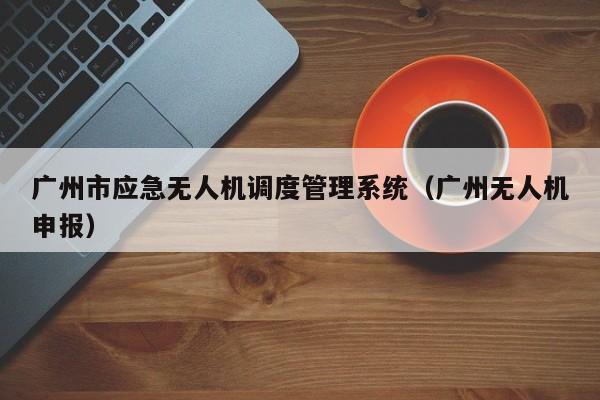 广州市应急无人机调度管理系统（广州无人机申报）